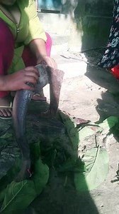 কিউট পগলী ❤❤🥀 (@ratnaratna2263)’s videos with original sound - Royal Bhai