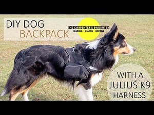 DIY Dog Backpack: Julius K9 Harness | The Carpenter's Daughter