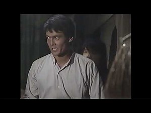 愛の嵐 第36話「猛、ひかるを渡せ!」名場面集 田中美佐子 渡辺裕之