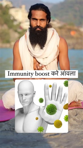 🅺🅰🅸🅻🅰🆂🅷 🅱🅸🆂🅷🅽🅾🅸 on Instagram: "Immunity boost करे आंवला ✅ @kailashayogastudiorishikesh #immunity #immunityboost #energyboost #booster #viral #viralreels #instagood"