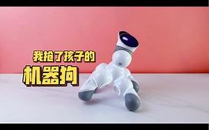 我抢了孩子的玩具狗｜ClicBot可立宝可编程拼搭机器人玩耍体验