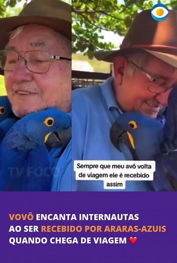 Arara Azul Caindo da Árvore: Que Fofura! ❤️❤️❤️