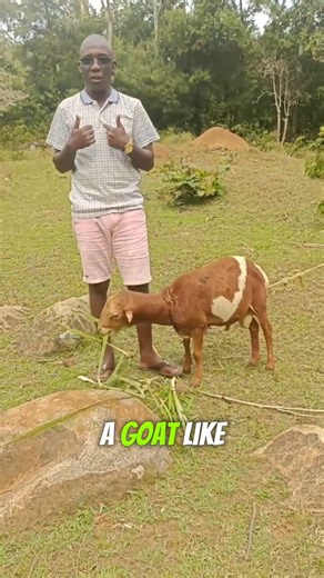 Samson Ojiayo on Instagram: "Make your decision. And never forget Uncle Samson’s wisdom. #corruptionisnotbad #trending #viral #explorepage✨"