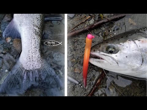 2024 Winter Steelhead Run Is Here – Are You Ready?