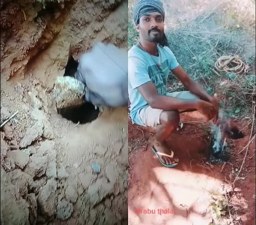 #gowsigankpn #thaladharma #2020 #clonesquad நாங்களும் கெத்து தா