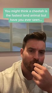 9.3K views · 440 reactions | Fastest animal on planet Earth  | ICT with Mr P - Tech to Raise Standards | Facebook