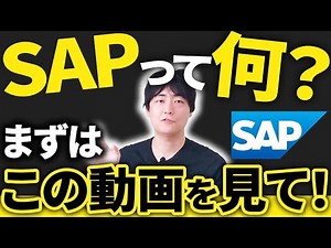 [Explaining SAP] It's too late to ask now! What is SAP anyway?