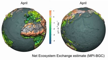 Earth's annual CO2 levels