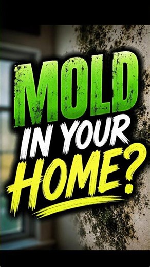 Mold Contaminated Everything I Owned