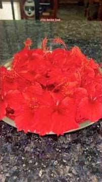 Making Hibiscus Jelly from my Backyard Harvest #shorts #recipe #jelly #reels #kids