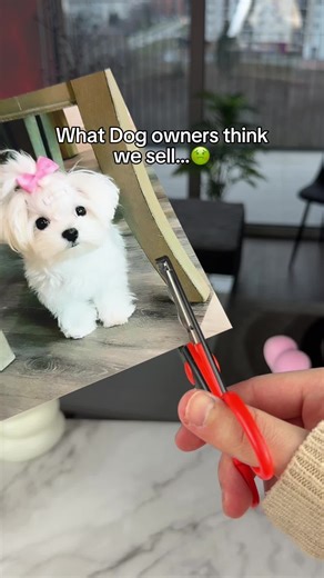 Build Your Pet with Bricks: A Unique Creative Project