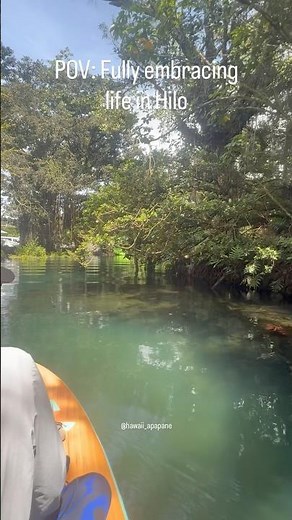 POV: Fully embracing life in Hilo #hawaii stand up paddle