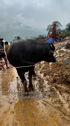 Bố Trẻ Con on Reels