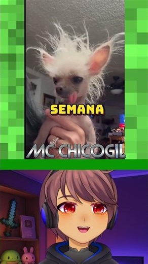 Imagine your dog went to doggy heaven. How long would you miss him? 💔😭