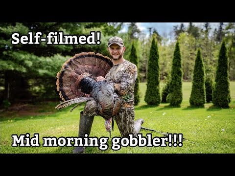 10 AM gobbler!!! Self-Filmed PA Spring Gobbler Turkey Hunt 2024 - Ridge Raised Outdoors