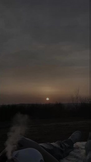 #rap #dz #algeria #rap_v4 #algerie #viral #fypシ