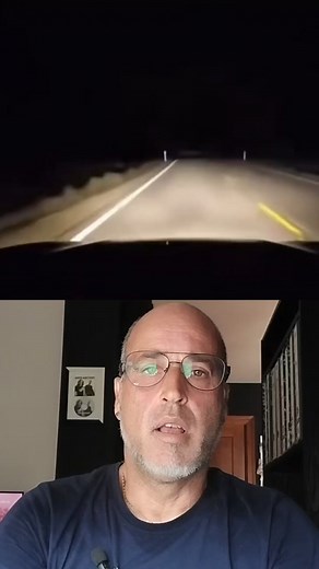 3.3K reactions · 270 shares | Yo creo que el pajarito le a salvado la vida. #animales #concienciacionanimal #pajaros | ARC Rescate Animal | Facebook