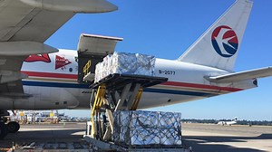 "Cherry Express" bound for China, Asian market devouring Washington cherries