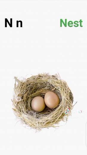 Learn ABC and Counting 1 to 100 | Fun Educational Video