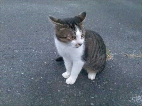 まんが日本昔ばなし BGM 10