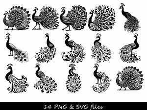 Peacock SVG Bundle, Peacock Feather SVG, Peacock Mandala Svg, Peacock Silhouette Svg, Peacock Clipart, Peacock Png, Bird Svg, Animal Svg - Etsy
