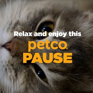 11K views · 206 reactions | Take a moment to relax with us before we head into the next week. | Petco | Facebook