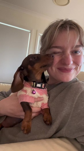 The Cutest Rabbit Dachshund in Australia! Meet Nala