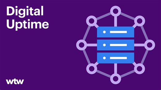 Eight points to success: Managing risk in hyperscale data centers