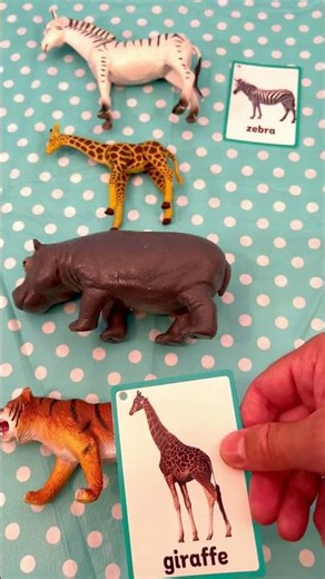Matching Animal Flashcards to Wild Toy Figures! 🦓 Vocabulary Learning Activity