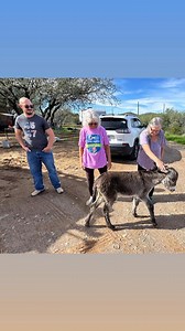 1K views · 23 reactions | Thank you | One Step Wild Burros and Mustang Rescue | Facebook