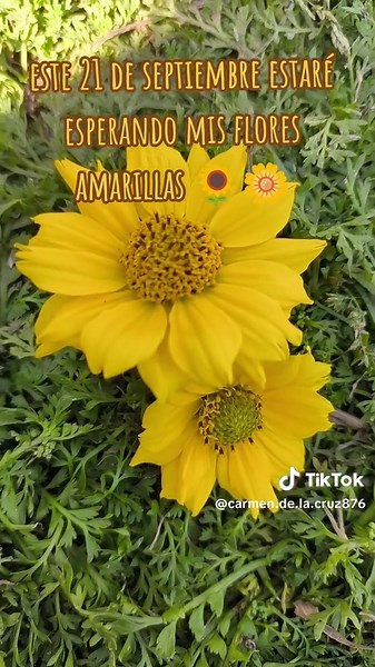 #carmendelacruz🐼♥️ #EyC💚