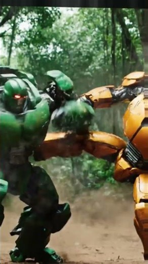 ✅ Echoes From the Forest