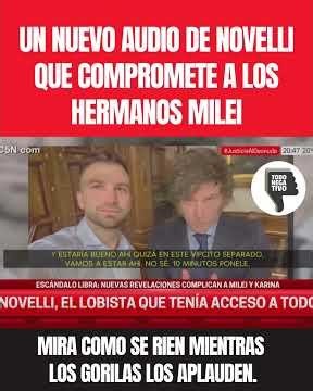 Novelli's audios expose the Milei brothers' business dealings