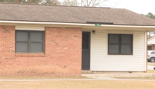North Carolina woman struck by bullet shot into her home