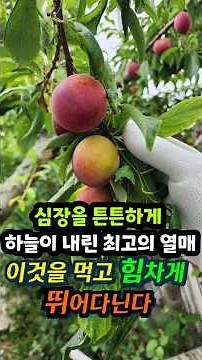 The Fruit That’s 3x Better for Your Heart Than Pomegranates: Benefits of Plums #Health #Food #Gar...