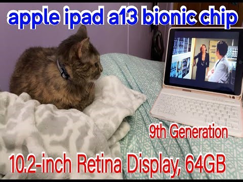 Fire 7 Tablet Review: The Ultimate Budget Tablet? | The Product Review