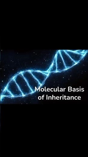 Molecular Basis of Inheritance | class 12 || part - 1 #class12 #12thbiology