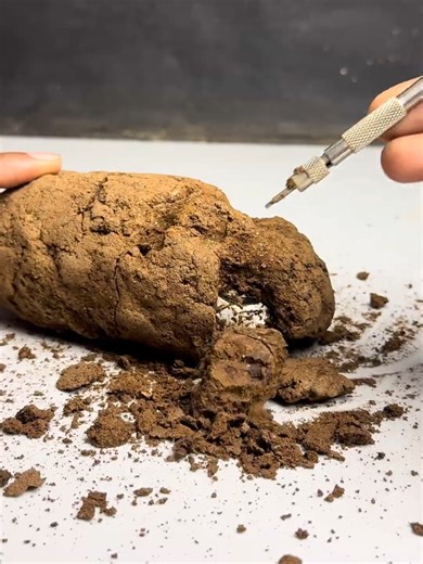 Cleaning dirtiest most popular Fortuner Car in brazil🇧🇷😱#foryou #fyp #minicar #satisfying