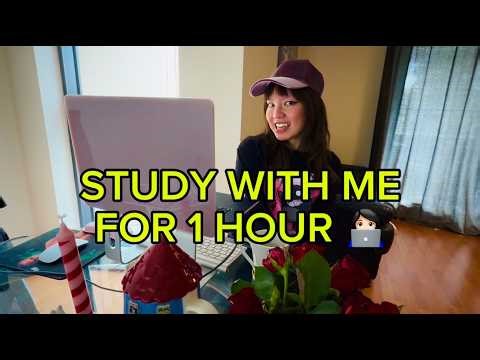 Study With Me: 1 Hour No Talking (PhD Student, ADHD Body Doubling)