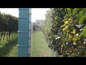 IDEAL srl ITALIA - Nebulizzatore a recupero DROP SAVE