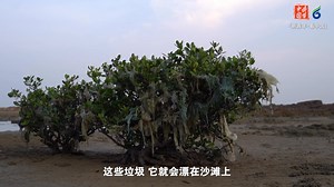 480K views · 1.9K reactions | #UnderstandingChina The Chinese white...