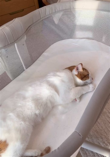 Creative Ways to Declutter Your Bedroom