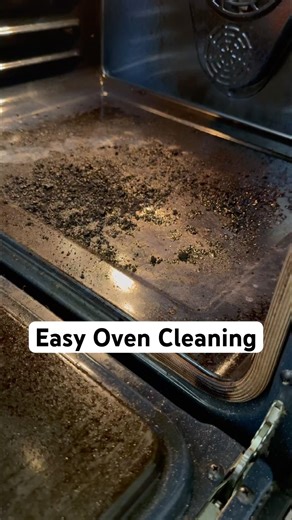 Satisfying Oven Cleaning = Citrus Degreaser + Razor Scraper | How to Clean Bottom of Oven