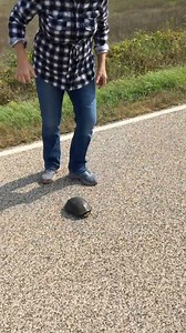 5.2K views · 24 reactions | Save The Turtles  Kathy’s a Saint #turtle #rescue #outdoors | Coots Lures | Facebook