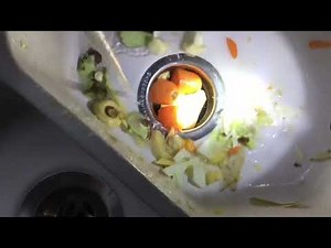 Insinkerator evolution 200 model