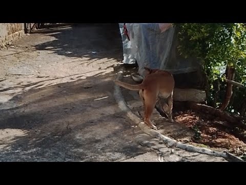 83L Saturday live #asmr visitor's come & go