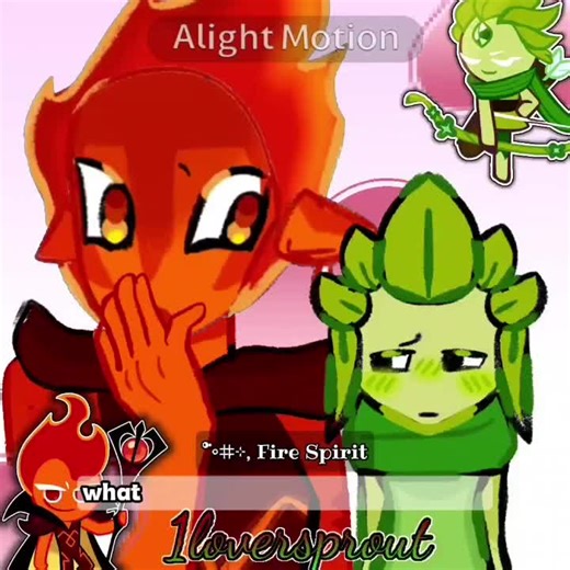 FIRE WIND: Explore the Spirit of Fire & Wind Cookies