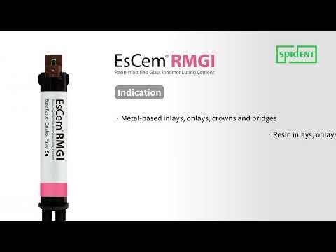 EsCem RMGI Technical Guide