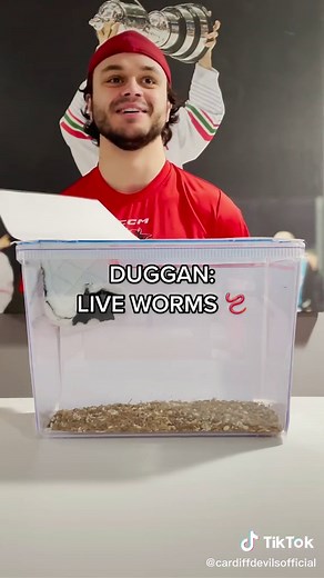 Cardiff Devils on TikTok