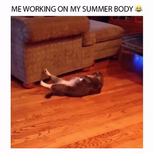 No Excuses💪 | Instant Knockout